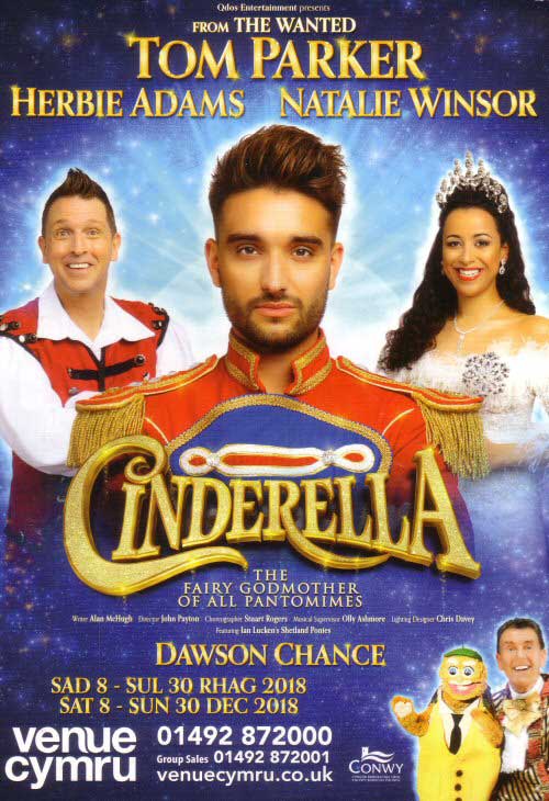 Venue Cymru Panto Page One